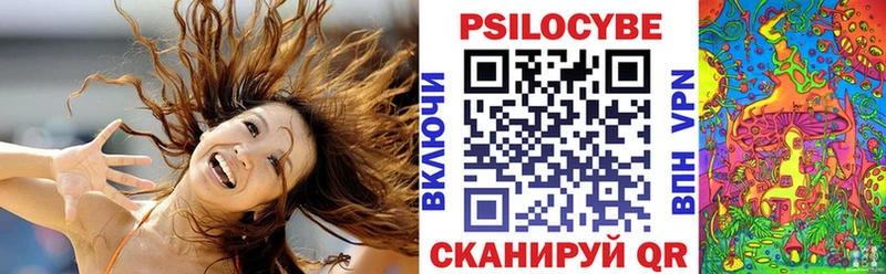 Псилоцибиновые грибы Cubensis  площадка как зайти  Тогучин 